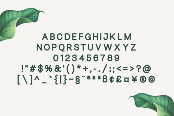 Bellezza Extra Black Font - Preview 1