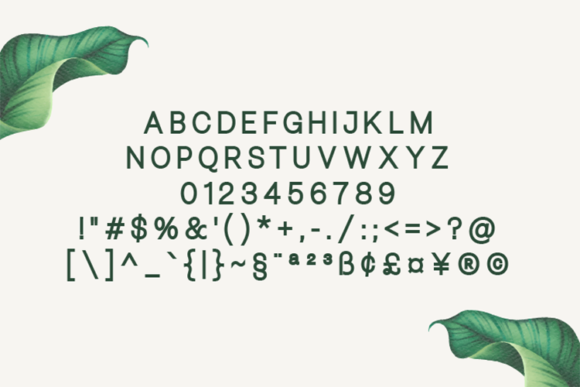 Bellezza Extra Bold Font - Preview 1