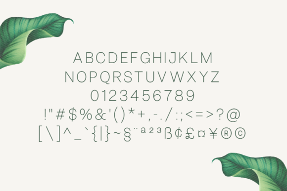 Bellezza Extra Light Font - Preview 1