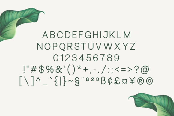 Bellezza Font - Preview 1