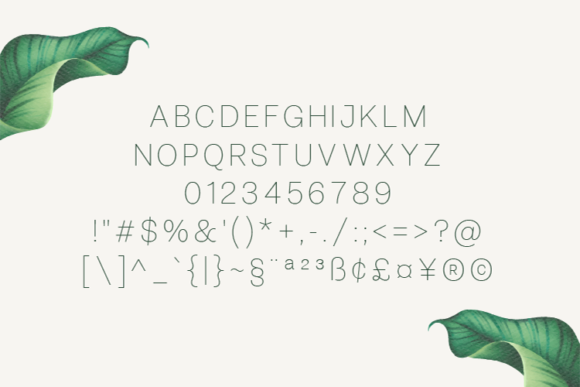 Bellezza Thin Font - Preview 1