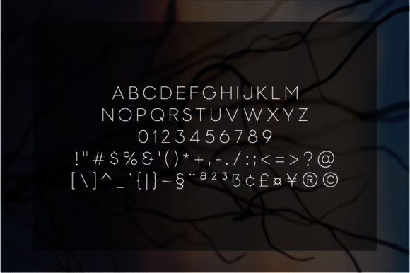 Gabriely Thin Font - Preview 1