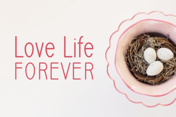 Nest Font PNG with transparent background - Preview 1