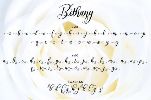 Bethany Script Font - Preview 4