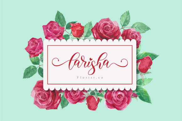Bianca Script Font - Preview 1