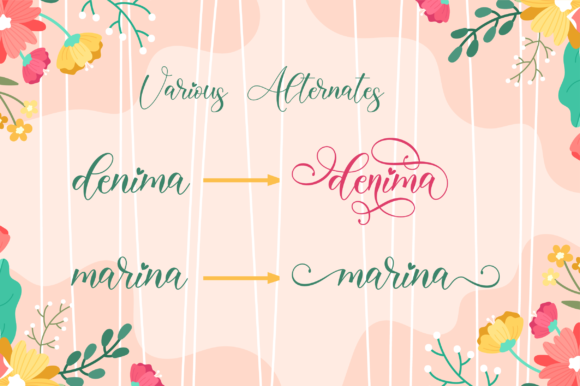 Bianca Script Font - Preview 4