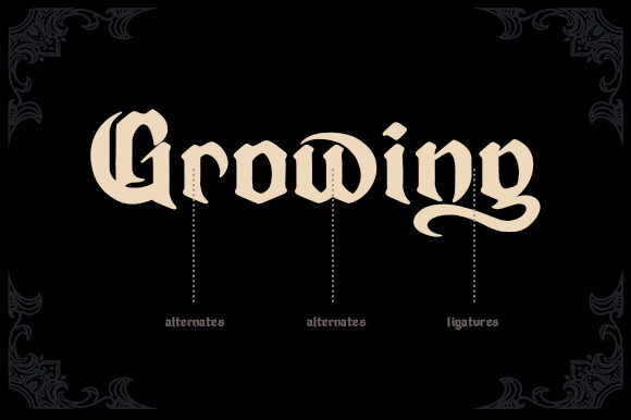 Blowiz Font - Preview 4