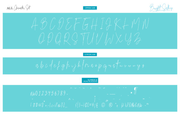 Bright Salkiy Font - Preview 1