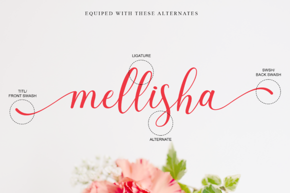 Belisha Font - Preview 1