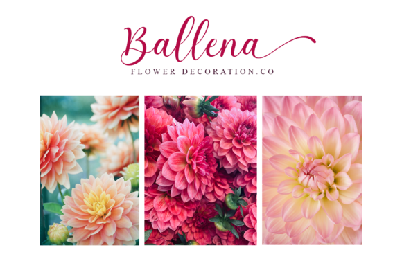 Belisha Font - Preview 2