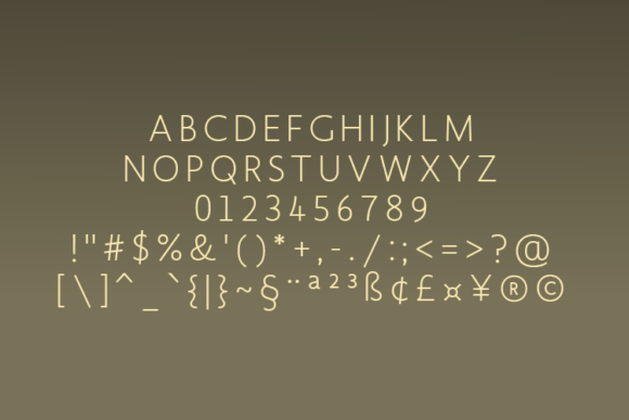 Blankco Light Font - Preview 1