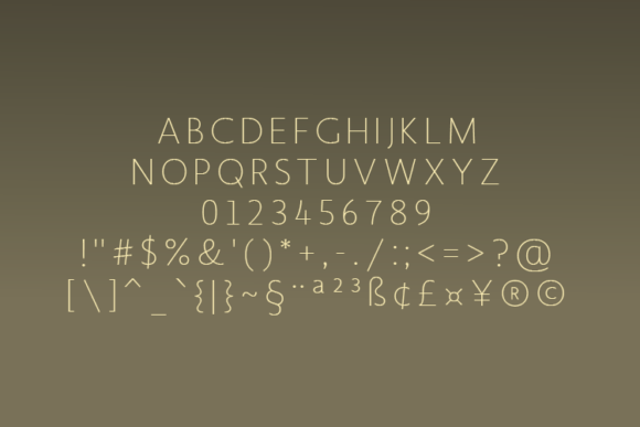 Blankco Thin Font - Preview 1