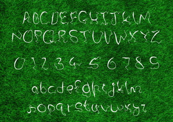 Crazy Snail Font - Preview 1