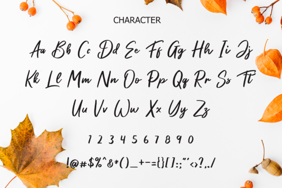 Fallonly Font - Preview 1