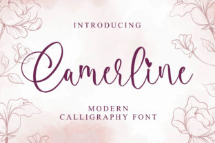 Camerline Fonts 1