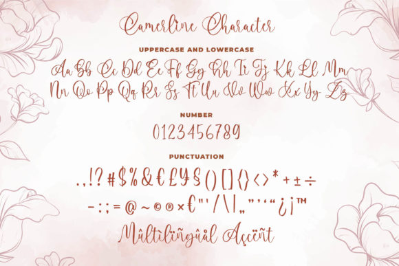 Camerline Font - Preview 5