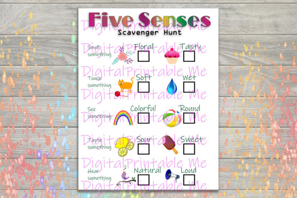 Five Sense Scavenger Hunt Kid Game Party