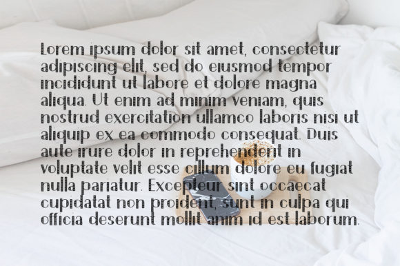 Hompy Font PNG with transparent background - Preview 3