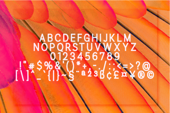 Romanhuff Extra Black Font PNG with transparent background - Preview 1