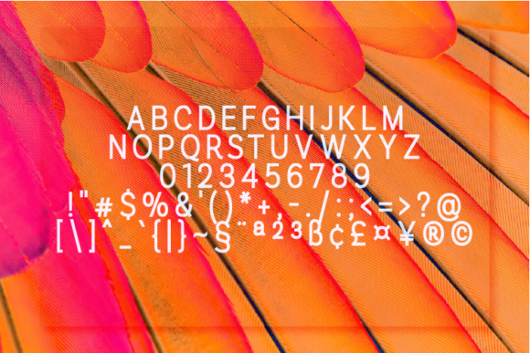 Romanhuff Extra Bold Font PNG with transparent background - Preview 1