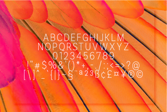 Romanhuff Light Font PNG with transparent background - Preview 1