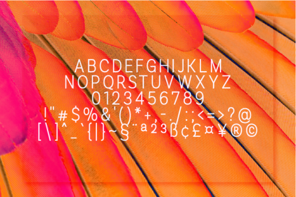 Romanhuff Medium Font PNG with transparent background - Preview 1