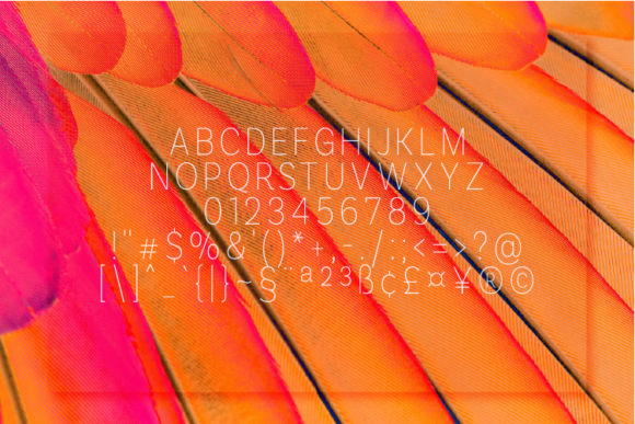 Romanhuff Thin Font PNG with transparent background - Preview 1