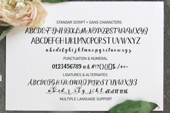 Garbera Duo Font - Preview 5