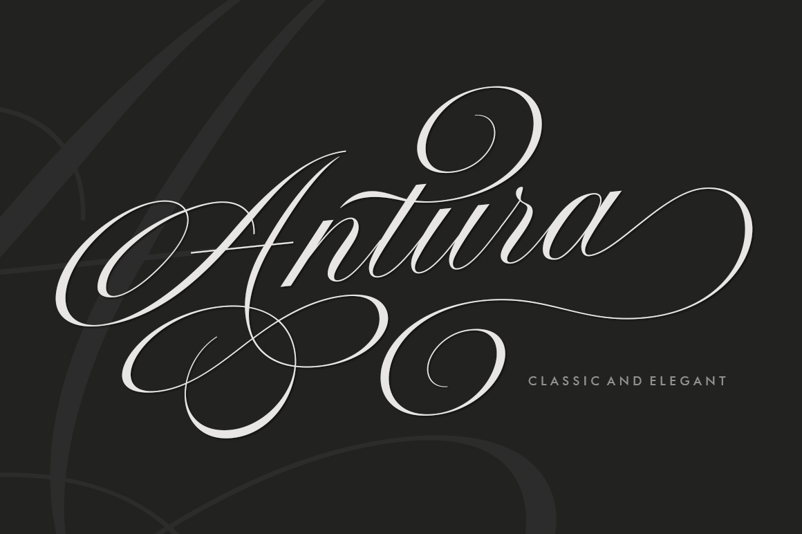 Antura preview — graceful formal script with wide flowing loops