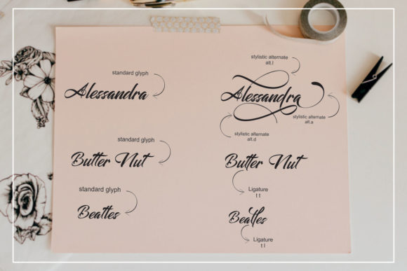Alessandra Font - Preview 3