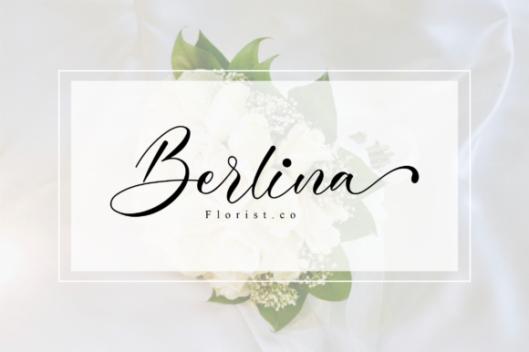Cinderella Font - Preview 5