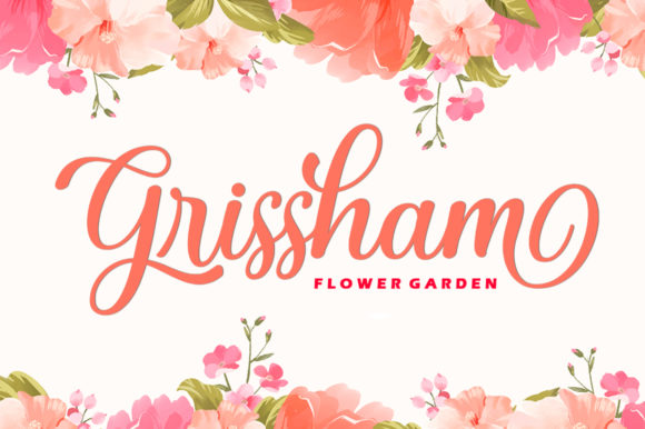 Misha Gergoval Font PNG with transparent background - Preview 3