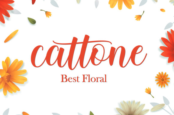 Modisa Font font preview - 2