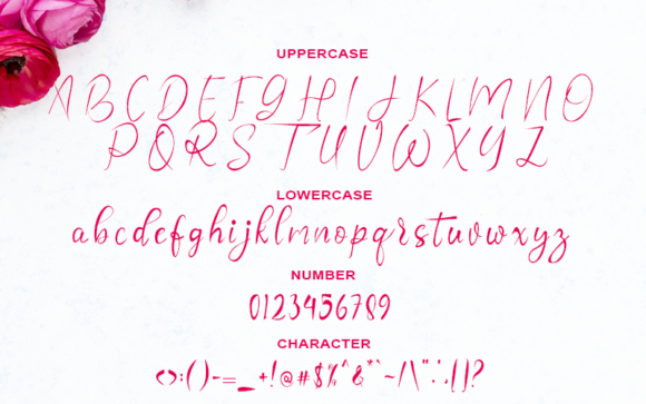 Nastasya Font PNG with transparent background - Preview 1