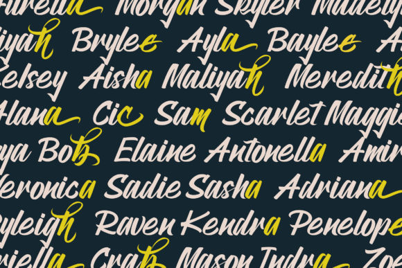 Pallawa Font PNG with transparent background - Preview 6