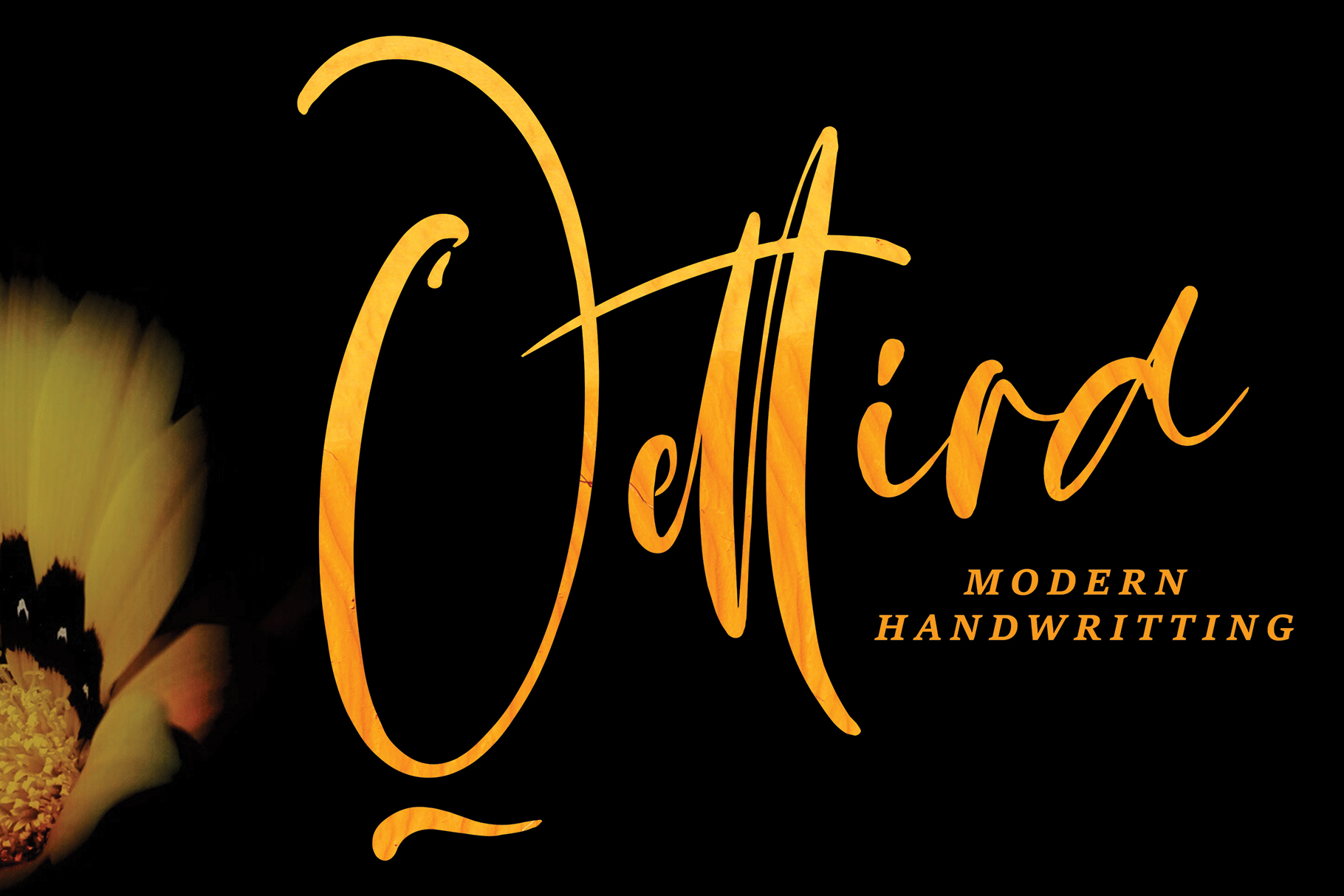 Qettira Font by Pineungtype & Missinklab · Creative Fabrica