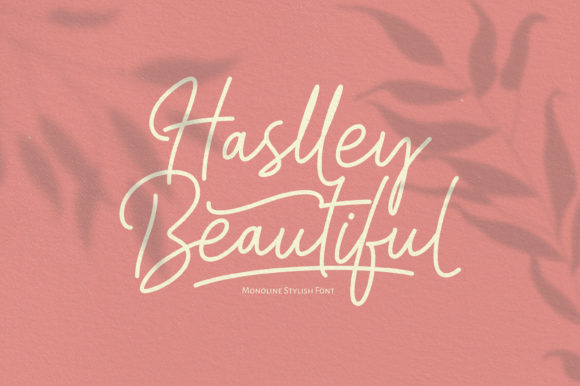 Haslley Beautiful Font - Preview 1