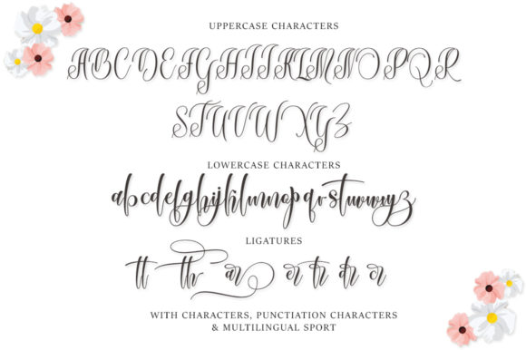 Bardella Font - Preview 5