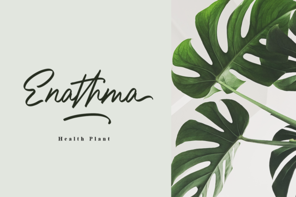 Brattalia Font - Preview 1