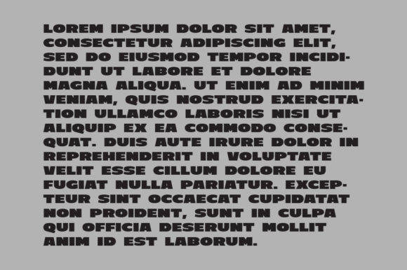 C800 Extended Font - Preview 3