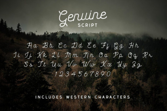 Genuine Font - Preview 2