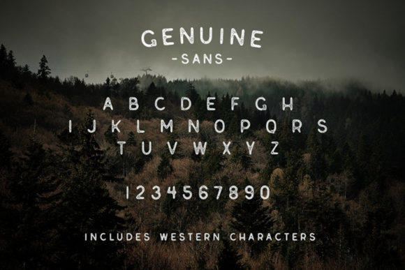 Genuine Font - Preview 3