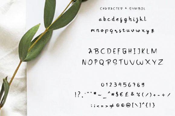 Big Swash Font - Preview 6