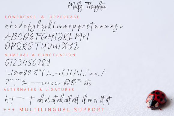 Melly Thoughtie Font PNG with transparent background - Preview 5