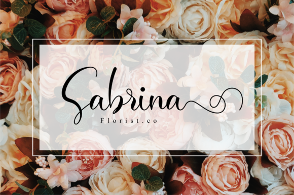 Baisley Font - Preview 2