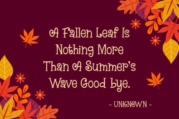 Beautiful Maples Font - Preview 2