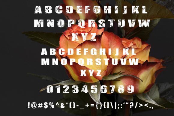 Lorla & Michael Font PNG with transparent background - Preview 1