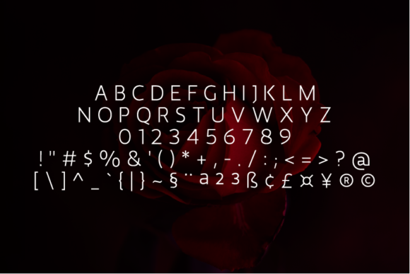 Malibo Extra Light Font PNG with transparent background - Preview 1
