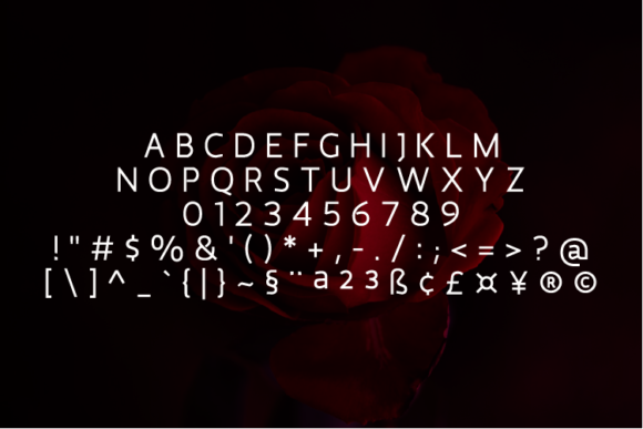 Malibo Regular Font PNG with transparent background - Preview 1