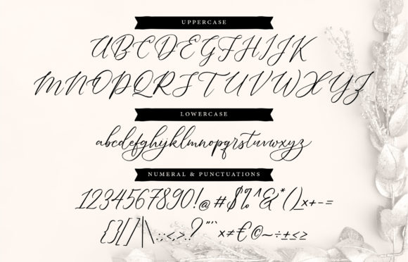 Dellaine Font PNG with transparent background - Preview 4